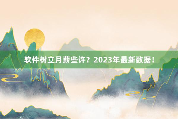 软件树立月薪些许？2023年最新数据！